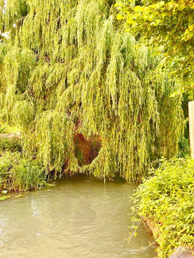 Colmar Cote Rhin Daire Biesheim Dış mekan fotoğraf